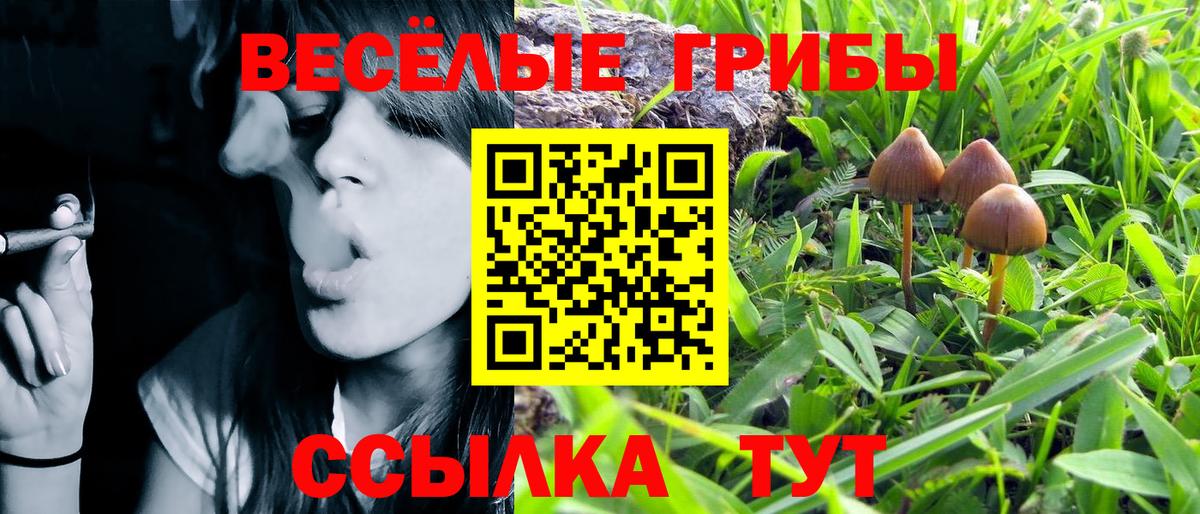 Псилоцибиновые грибы MAGIC MUSHROOMS  Псилоцибиновые грибы GOLDEN TEACHER  Свободный  Вход с VPN 
