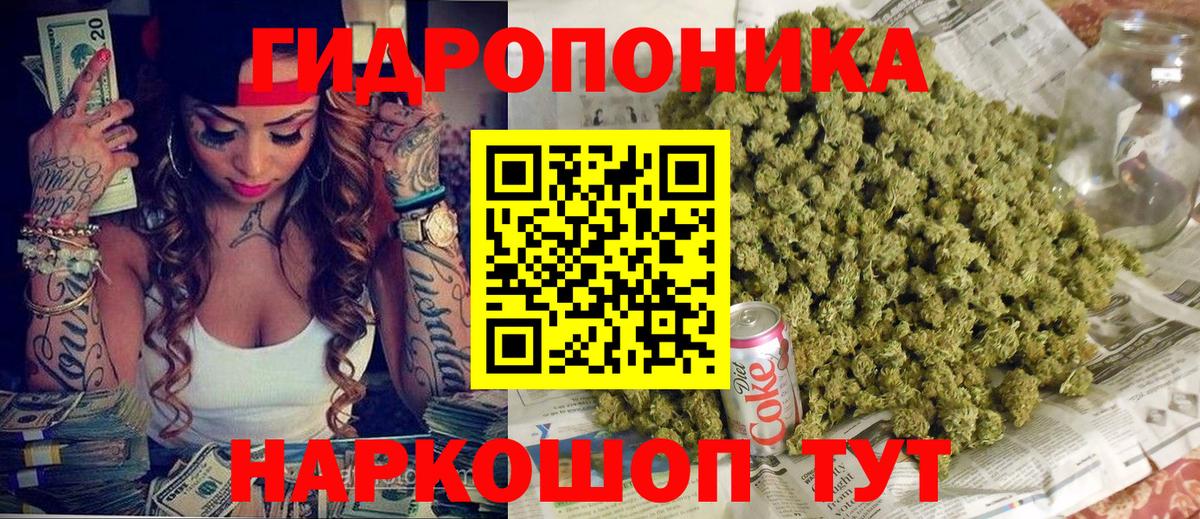 Шишки марихуана конопля Свободный